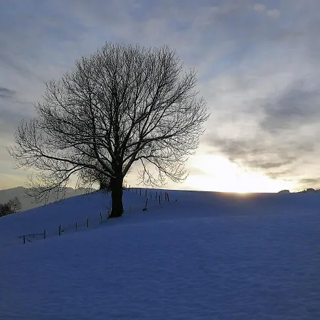 شقة Haus Marienfried