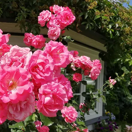 Haus Marienfried ريتينبيرغ