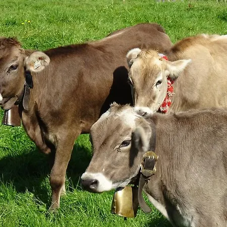 شقة Haus Marienfried